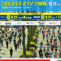 神話のふるさと宮崎「第30回 青島太平洋マラソン2016」
