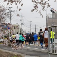 日本一早いマラソンレポート「吉川なまずの里マラソン2019」