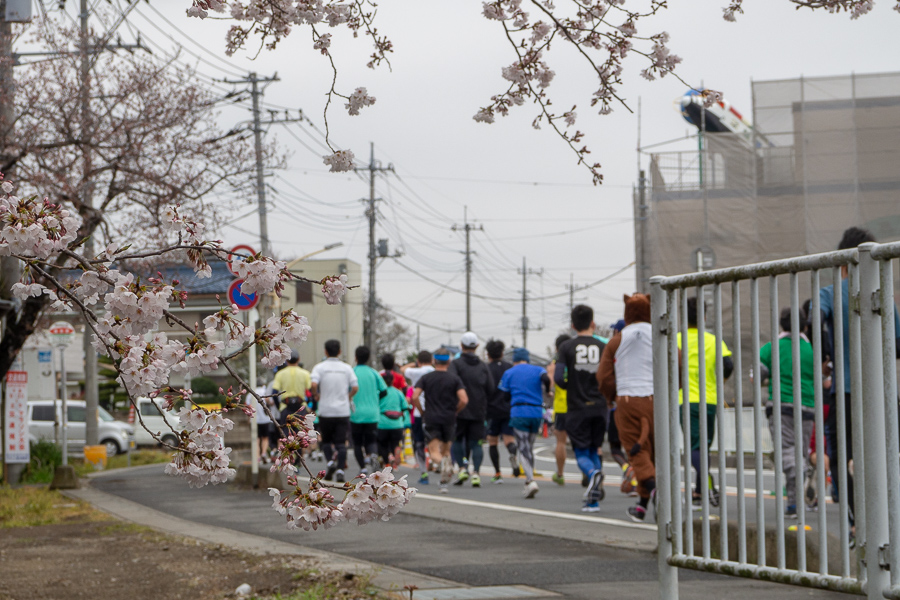 日本一早いマラソンレポート「吉川なまずの里マラソン2019」