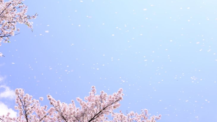 あおもり桜マラソン大会情報【天候・完走率・口コミ・評価・関門・コース】