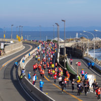 湘南国際マラソン大会情報