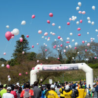 日本一早いマラソンレポート「第1回 さがみ湖さくらラン」