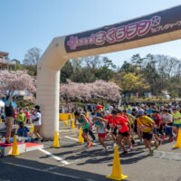 日本一早いマラソンレポート「第2回さがみ湖さくらラン in プレジャーフォレスト」