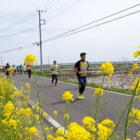 日本一早いマラソンレポート「かすみがうらマラソン2017」