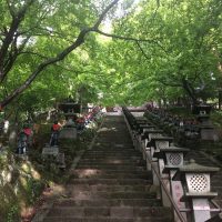 ROAD TO HARUKAS SKYRUN〜ハダシストの挑戦〜：第13回
